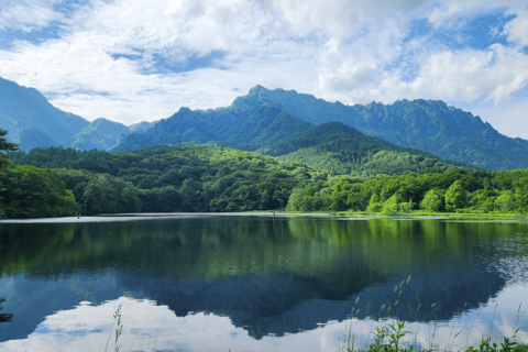 ناغانو: جولة خاصة في ضريح توجاكوشي، ساكي وزينكوجيالاستلام من مدينة ناغانو والمناطق المجاورة