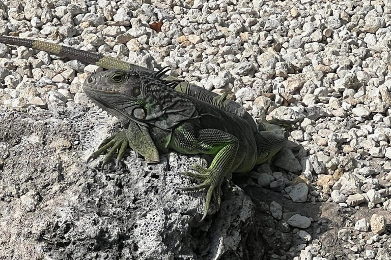 Key Largo: rejs wycieczkowy łodzią