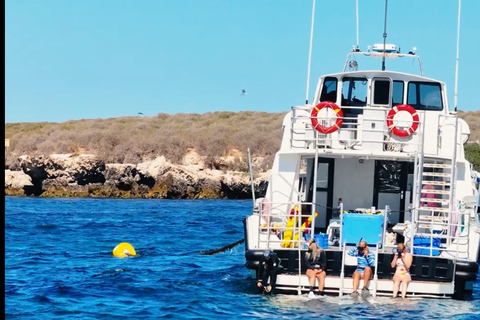 Perth: 2-Day Pinnacles, Sea Lions, and Seafood Tour