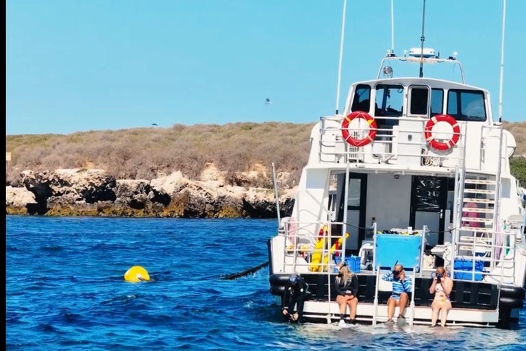 Perth: 2-Day Pinnacles, Sea Lions, and Seafood Tour