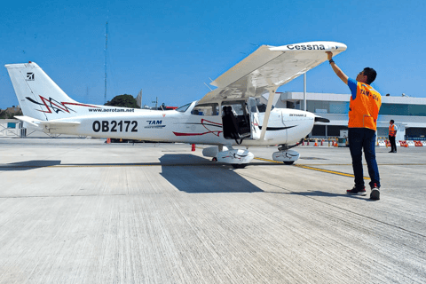 Nazca: Nazca Lines Flight with Hotel Pickup