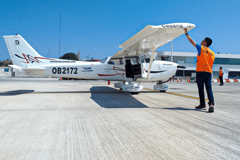 Nazca: Nazca Lines Flight with Hotel Pickup