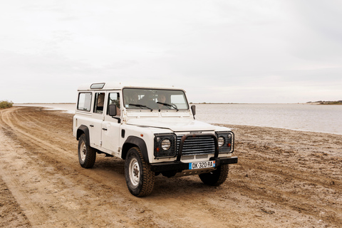 Aigues-Mortes 3H: Discover the secret Camargue in a 4x4 Half-Day Vehicle Rental