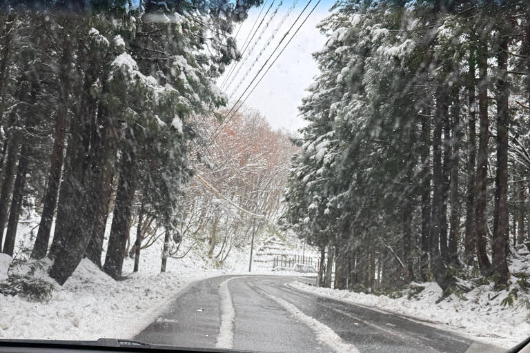 Osaka/Kyoto; excursão de um dia a Shirakawa go em veículo de luxo