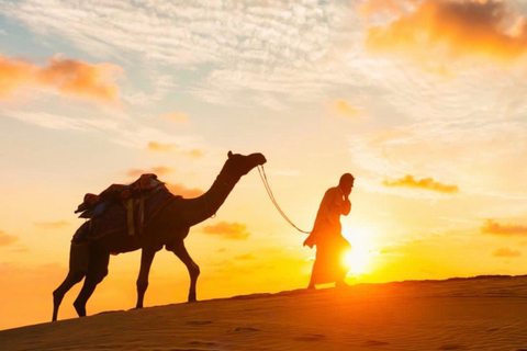 From Marrakech: 10-Day Morocco Highlights Tour