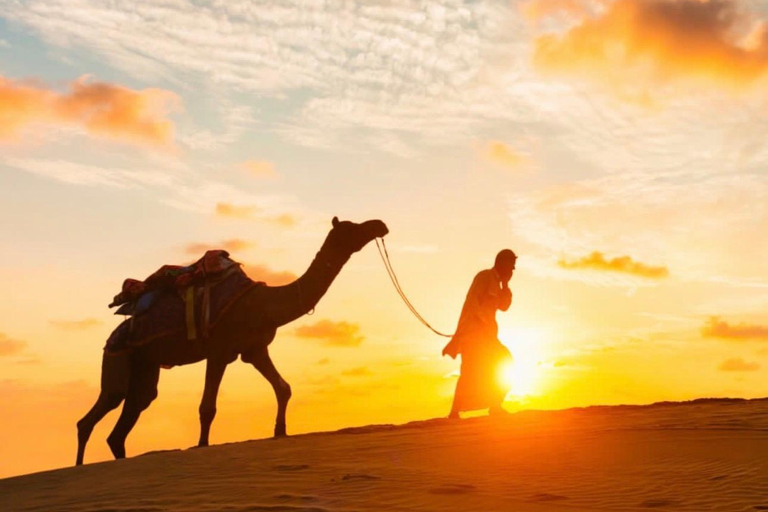 From Marrakech: 10-Day Morocco Highlights Tour