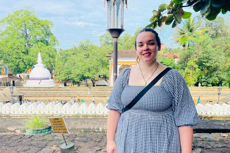 Kandy Day tour With Tea Factory from Colombo