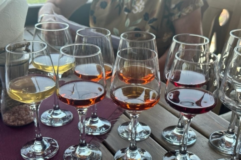 BEST of BATUMI | Stadsrondleiding met gids + proeverij van Georgische wijn