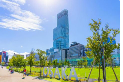 Osaka Highlights Tour: Castle, Dotonbori & Hidden Gems