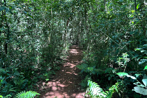 Essence of Iguazú: Full-Day Tour of Iguazú Falls (Brazil Side) and São João Trail Essence of Iguaçu: Full Day at Iguaçu Falls, Brazil, and São João Trail