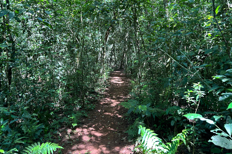 Essence of Iguazú: Full-Day Tour of Iguazú Falls (Brazil Side) and São João Trail Essence of Iguaçu: Full Day at Iguaçu Falls, Brazil, and São João Trail