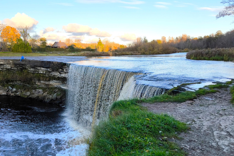 Forest Bathing & Mindfulness Nature Retreat from Tallinn