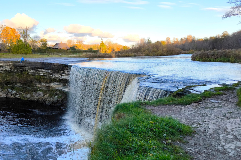 Forest Bathing & Mindfulness Nature Retreat from Tallinn