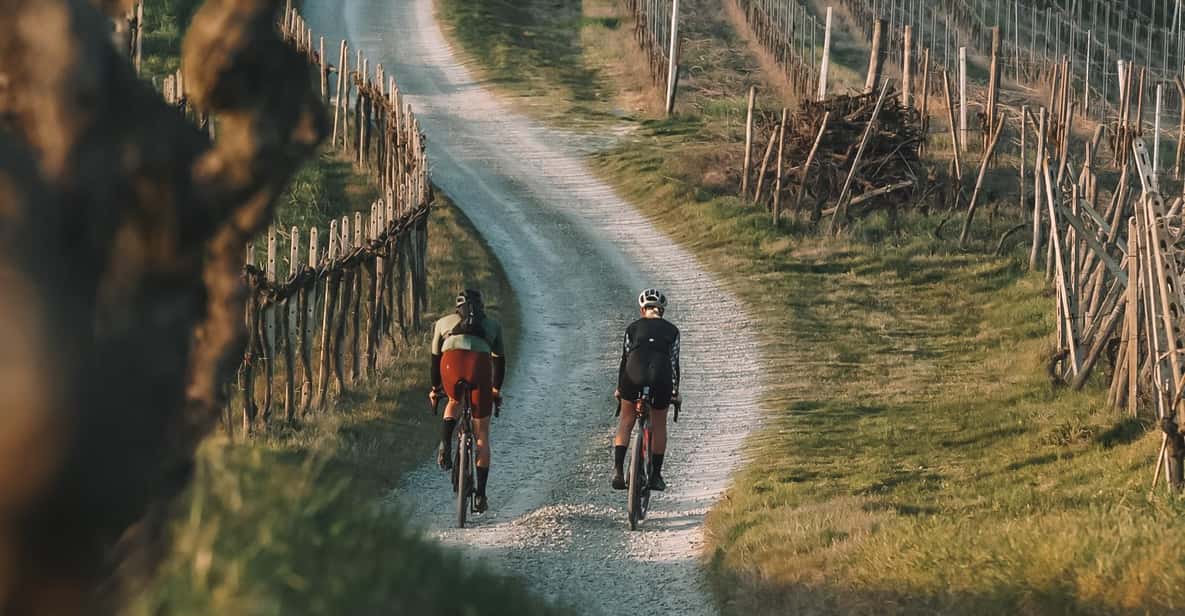 Afbeelding 0 van Monferrato: begeleide tour met MTB E-Bike om de wijngaarden te ontdekken