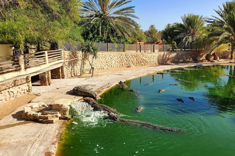 Djerba: Djerba Explore Experience with Crocodiles and Lella Hadhria Museum