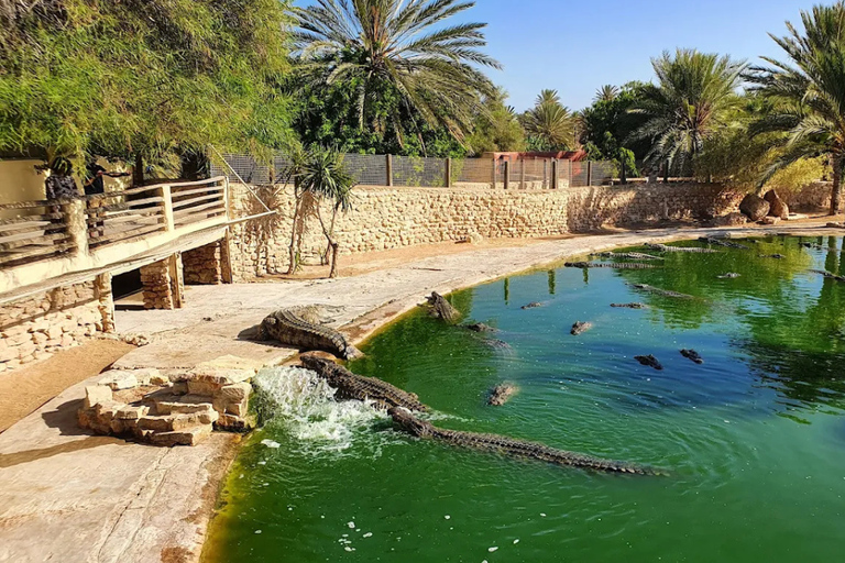 Djerba: Djerba Explore Experience with Crocodiles and Lella Hadhria Museum