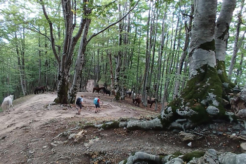 Hidden Gems of Theth:Private Day Tour to Waterfall &Blue Eye