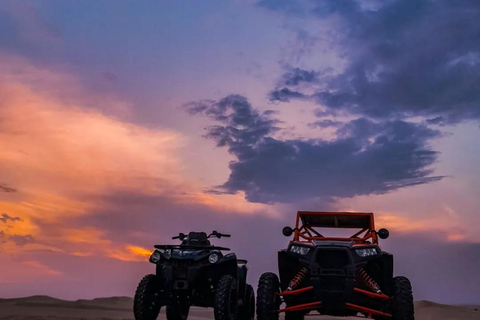 Doha : Arabian Horse Ride Experience With Pickup & Drop Off