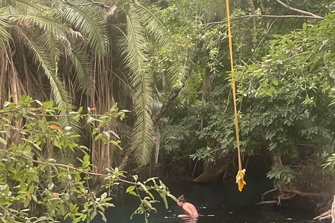 Arusha/Moshi: Cachoeira Materuni, Tour do Café e TermasSÓ CASCATAS DE MATERUNI + PASSEIO DE MOTORINA COM CAFÉ