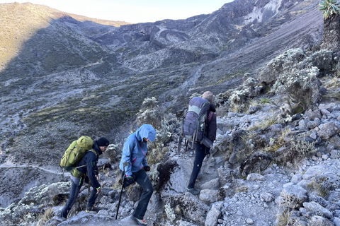 Moshi: scalata del Kilimangiaro in 6 giorni attraverso il percorso Rongai