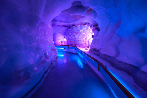 Privat naturskön dagsutflykt från Lucerne till Mount Titlis Summit