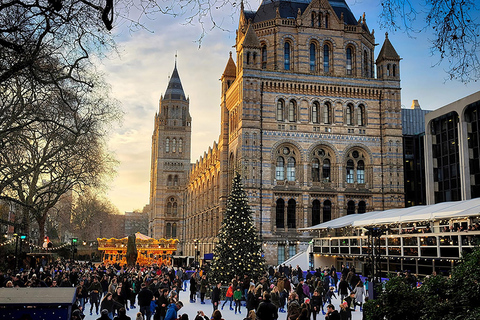 Exploring London's Natural Marvels: Museum Adventure