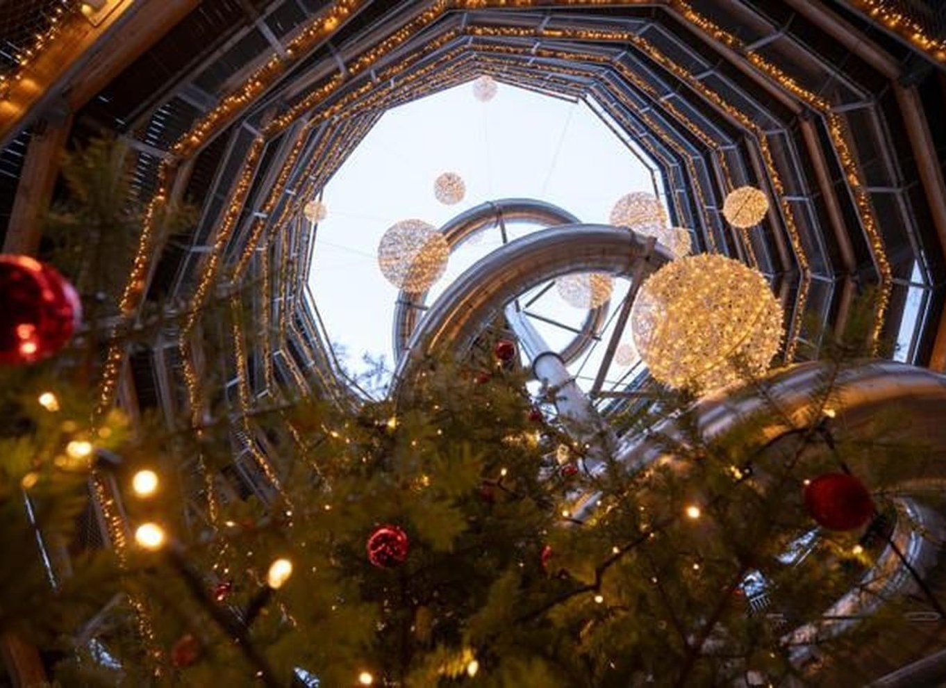 Schwarzwald: Treetop Walk & Lookout Tower Experience