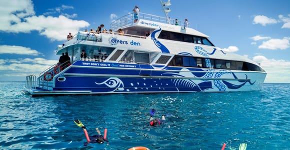 Cairns: Premium Snorkelling and Diving Reef Day Trip