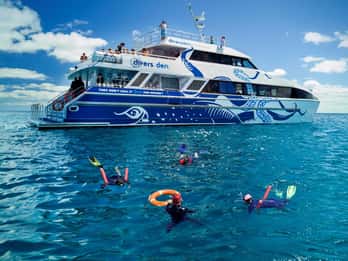 Cairns: Ganztagestour zum Great Barrier Reef