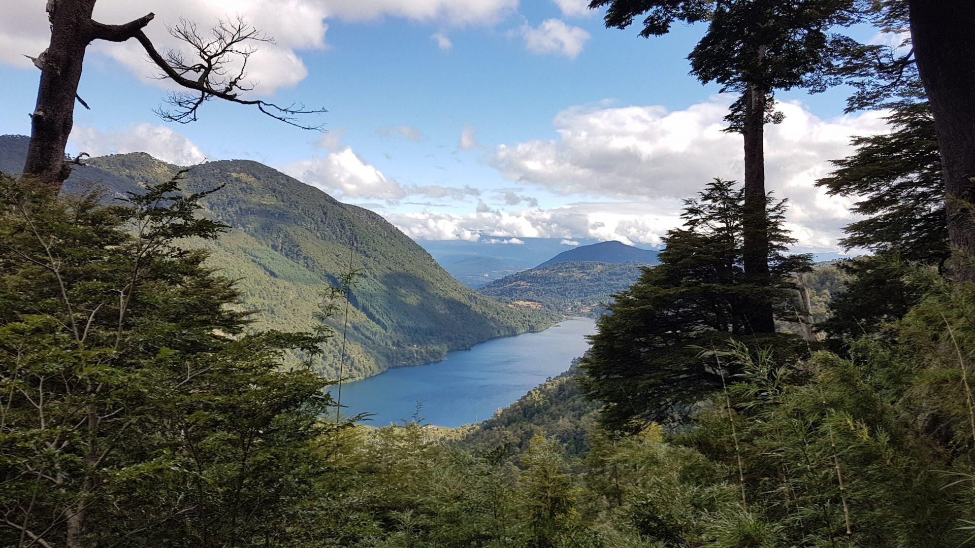 Von Pucón aus: Huerquehue National Park Wandertour