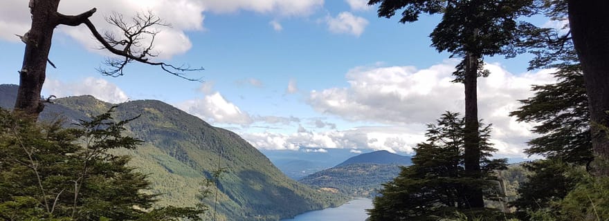 Depuis Pucón : Randonnée dans le parc national de Huerquehue