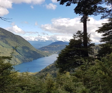 De Pucón: Caminhada no Parque Nacional Huerquehue