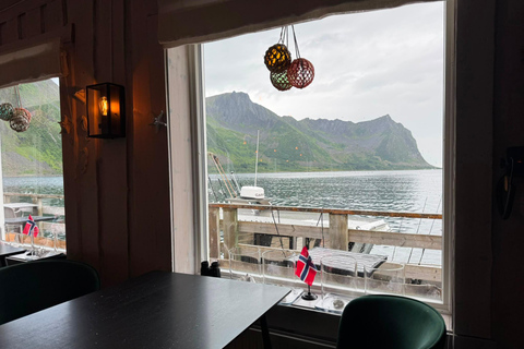 Tromso: SENJAtional: Sommaroy and Senja (7 people max) Tromso: One Day Trip to Senja