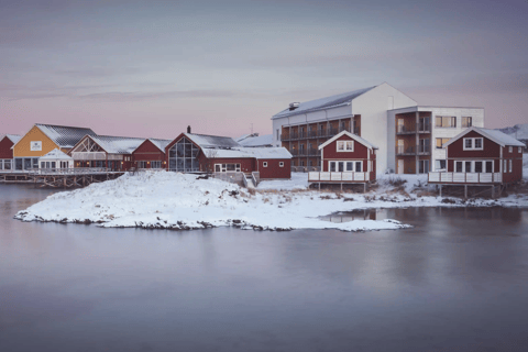 特罗姆瑟峡湾巡游——在索马罗伊岛停留峡湾巡游特罗姆瑟——途经索马罗伊岛