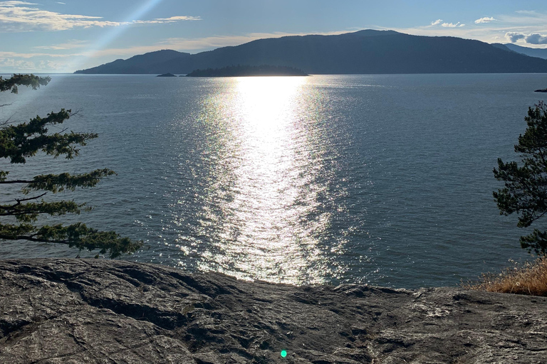 Vancouver: Lighthouse Park HikeLighthouse Park Hike