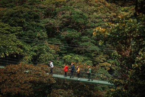 Monteverde: SkyWalk Hanging Bridges Adventure