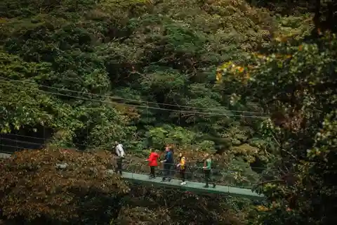 Monteverde: SkyWalk Hanging Bridges Adventure