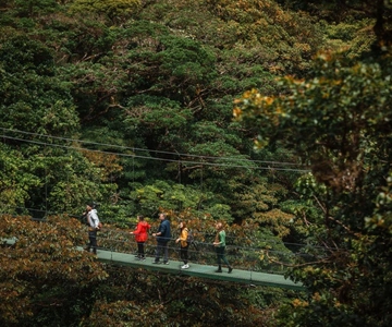 Monteverde: Avventura con i ponti sospesi SkyWalk