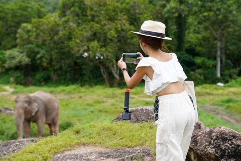 Phuket: Bukit Elephant Park Walk and Feed Tour