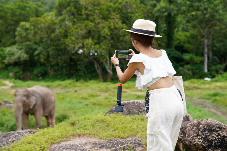 Phuket: Bukit Elephant Park Spaziergang und Fütterungstour