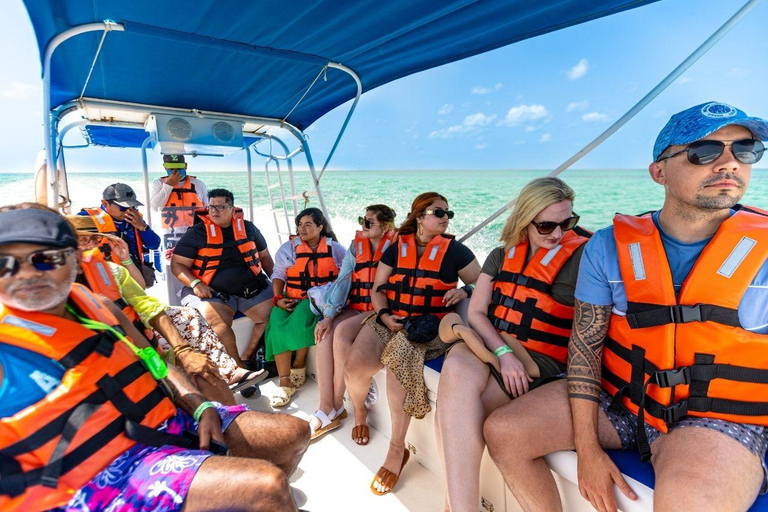 Holbox: Dagvullende tour naar het eiland, zwemmen in de cenote en lunch