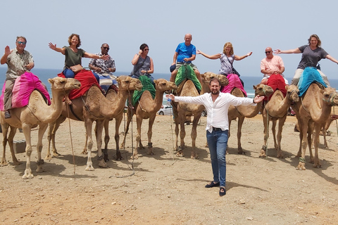 From Seville: VIP Tangier tour, all included.