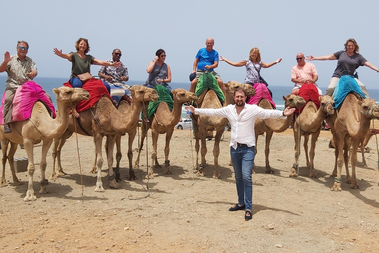 From Seville: VIP Tangier tour, all included.