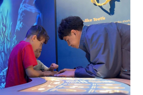 Houston: Ingresso alla mostra sugli squali del Museo di Scienze Naturali