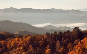 Gatlinburg: App-Based Great Smoky Mountains Park Audio Guide