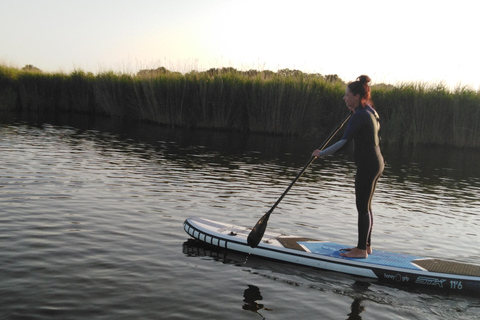 Rügen: Early Bird Standup Paddletour to Fishing Harbours