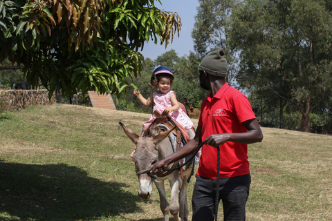 Paseos en burro para niños Experiencia