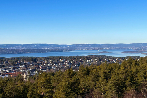 Oslo: Forest Hike with Panoramic Fjord Views and a dog