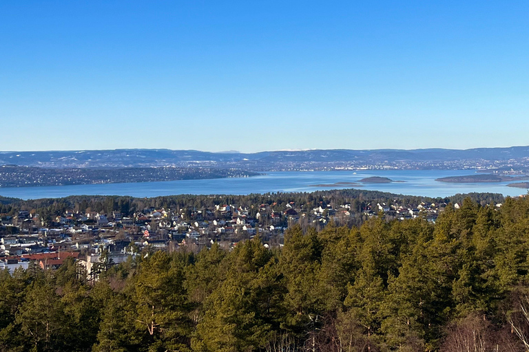 Oslo: Forest Hike with Panoramic Fjord Views and a dog