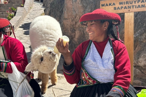 La aventura callejera de Cusco